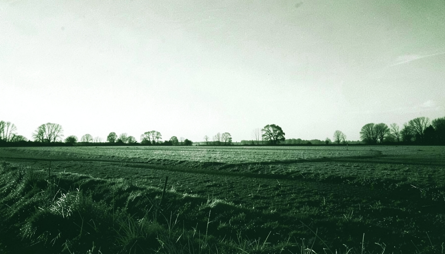 Paesaggio rurale invernale in duotone bianco e verde scuro, con campi aperti e un cielo ampio e luminoso